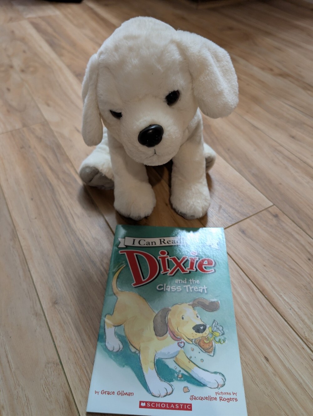 Wild Republic Lab Puppy Plush + Dixie and the Class Treat Book Bundle